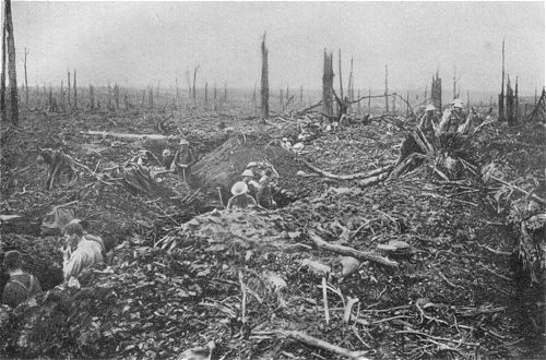 Westfront 1. Weltkrieg: Englische Truppen im Delvillewald (Sommefront)