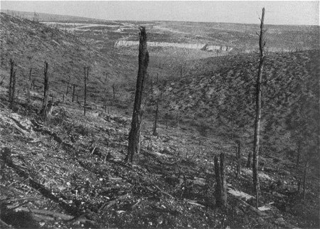 Westfront 1. Weltkrieg: Die Thiaumontschlucht bei Verdun