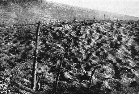 Schlacht um Verdun: Die Mondlandschaft des Chapitrewaldes